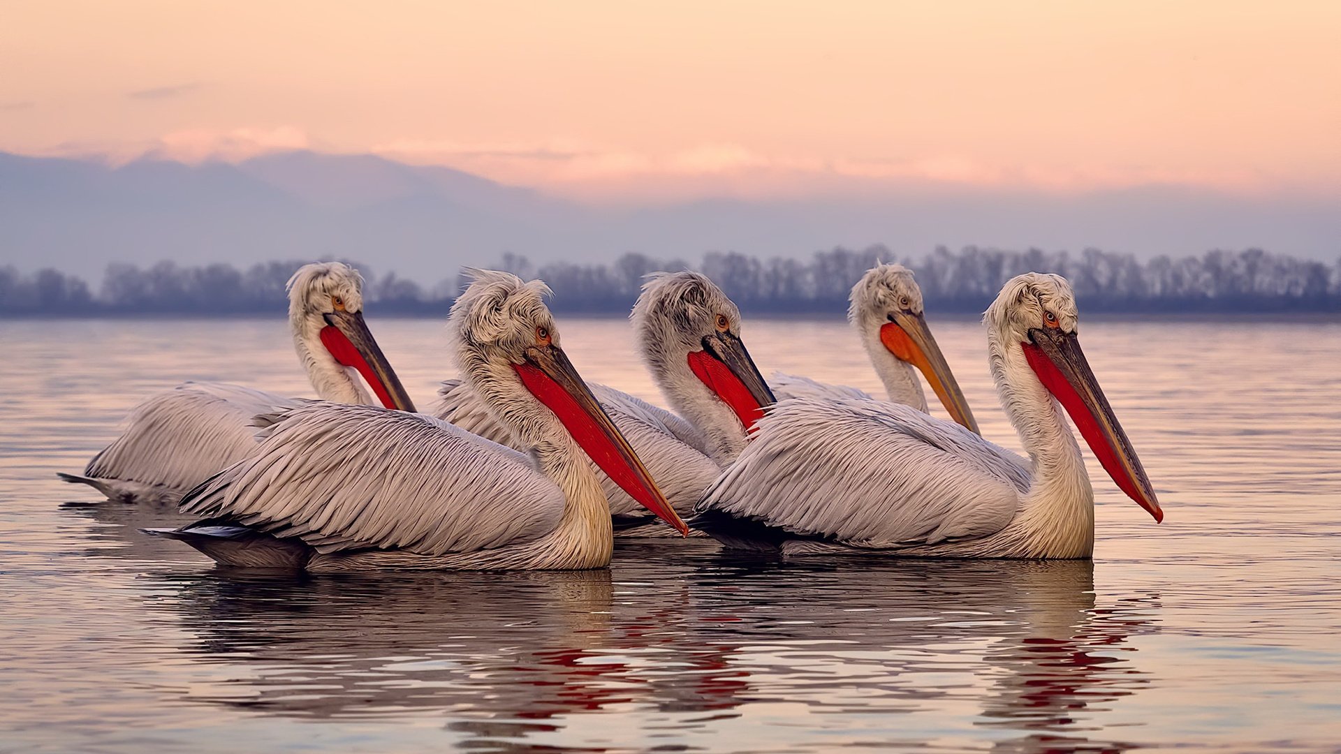 _精选瞬间:网球比赛中的神奇得分集锦_,网球比赛得分和失分标准
