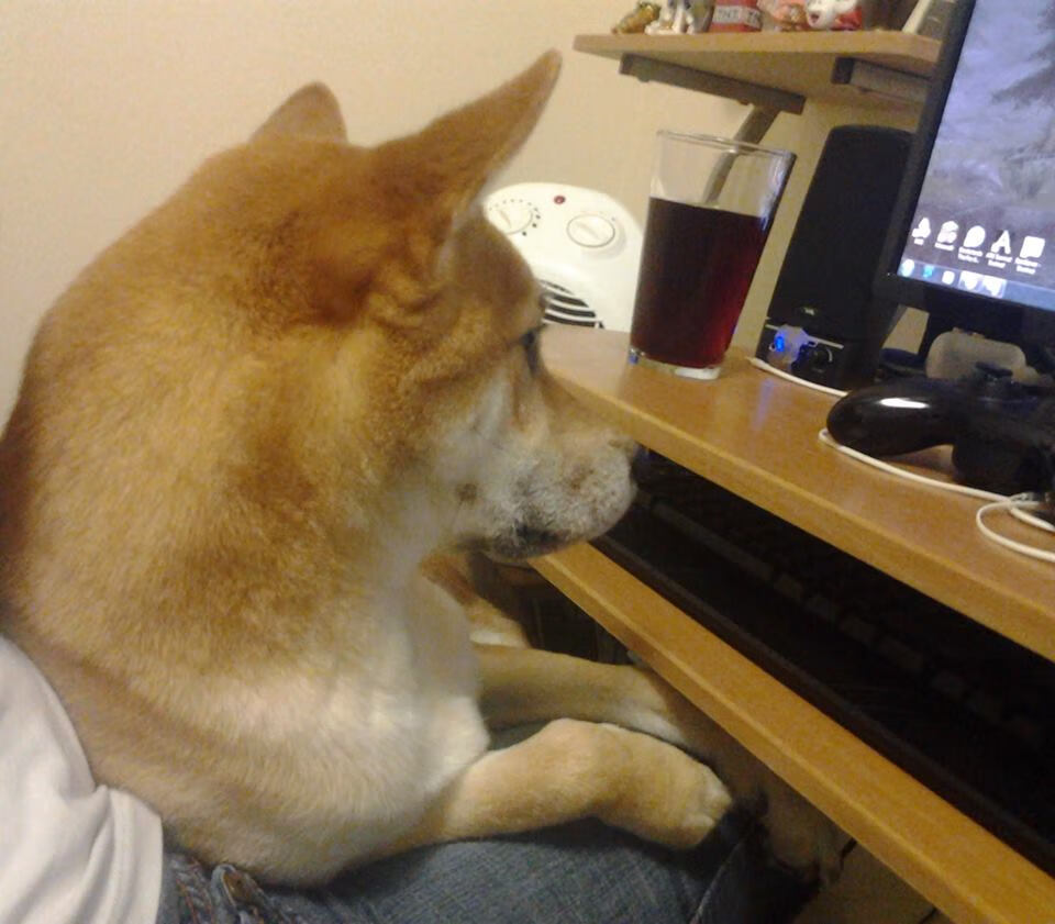 开云·体育官网-“未来中国足球领军计划启动，培养世界级足球人才”，中国规划足球员