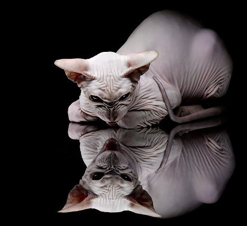 kaiyun官方入口登录-中超外援使用比例下降鼓励本土球员上位，中超外援规则及限制政策