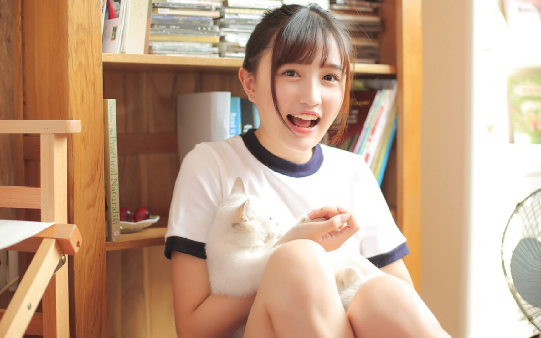 国际天悬飞索竞速赛,极速飞跃挑战极限