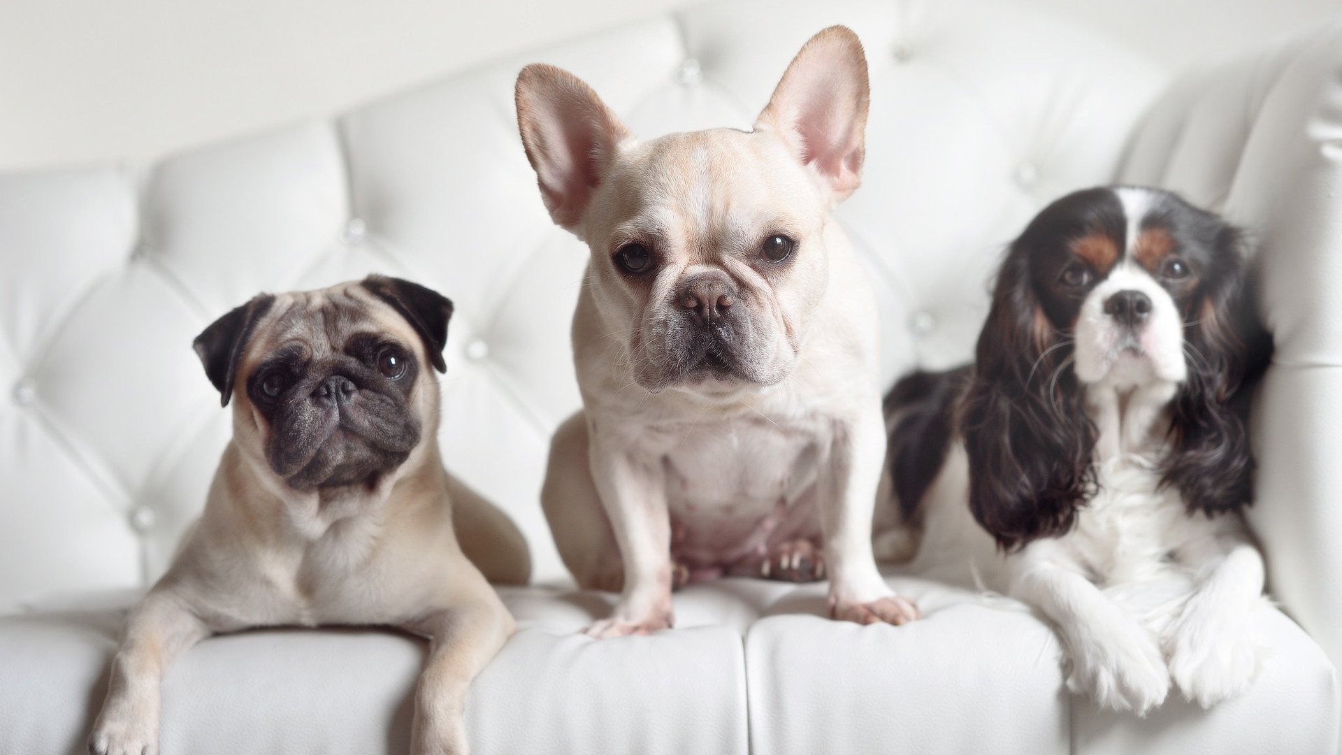 坚持不懈:车队在逆境中的协作精神,车队励志语