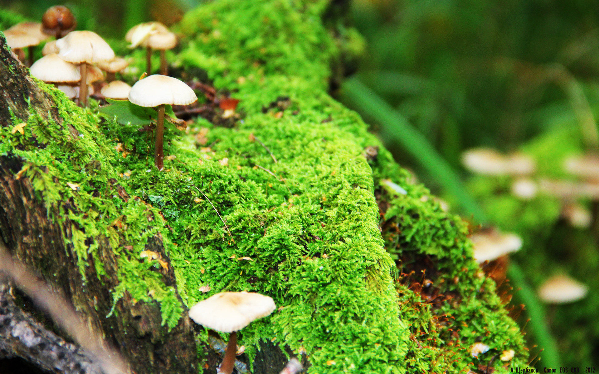 kaiyun开云·官方网站-未来联盟：科技与篮球的融合将带来哪些“黑科技”？，科技蓝意义