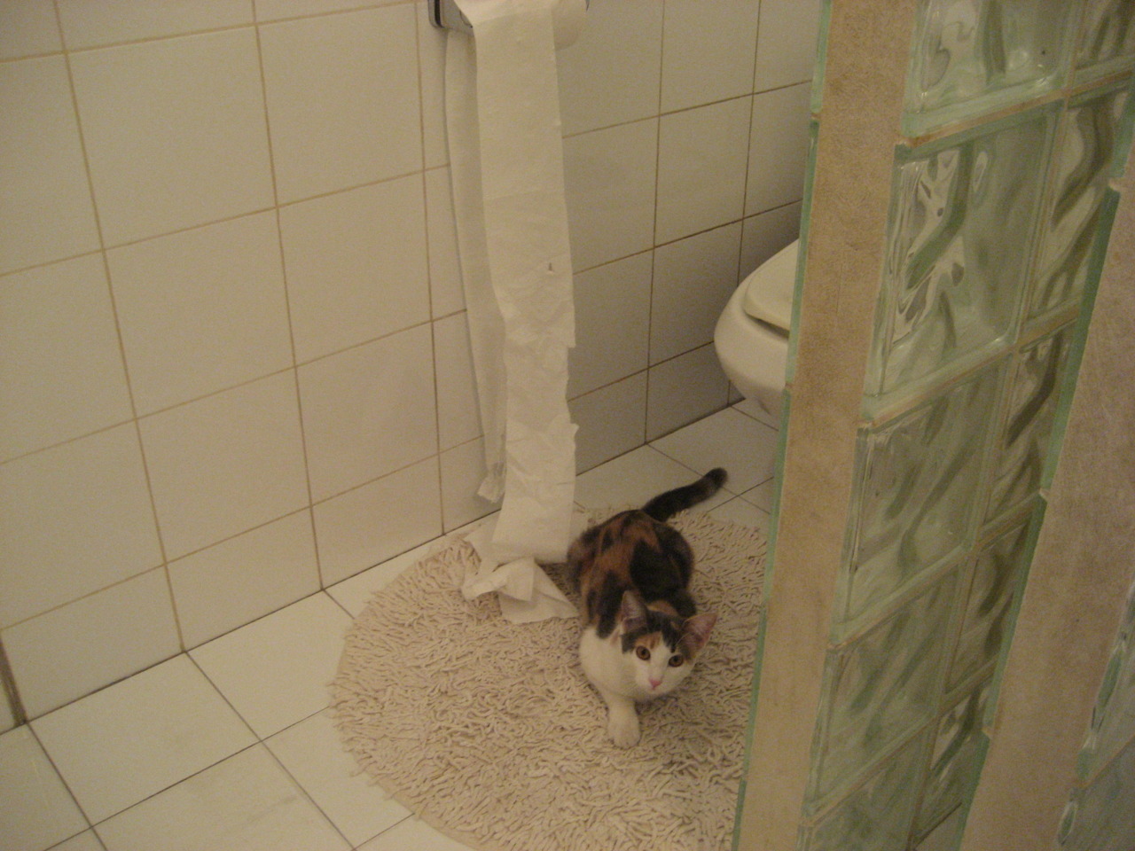 电池冷却技术革新,提升能源效率,动力电池冷却方式有