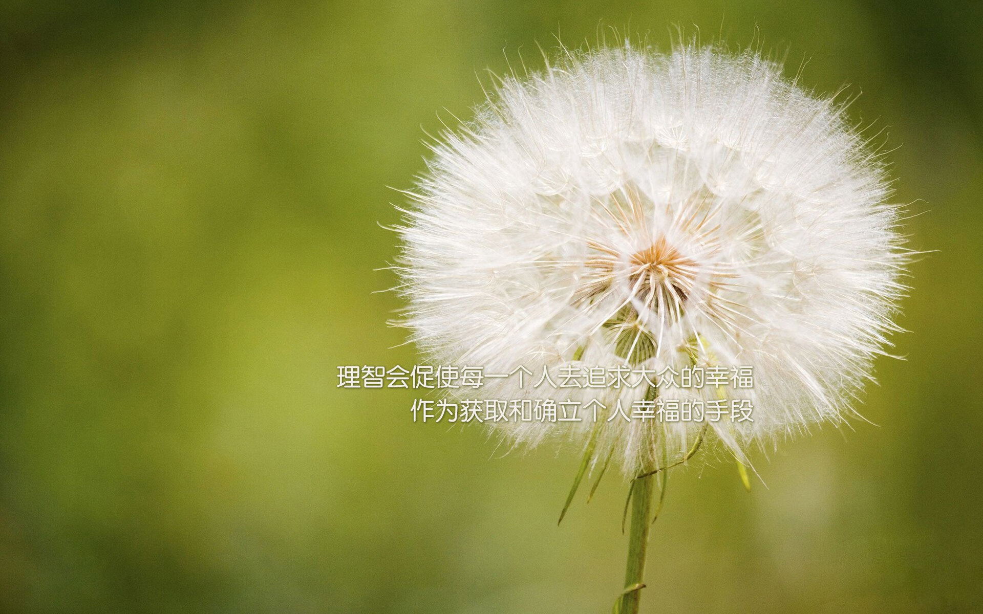 KAIYUN 中国大陆-世界联赛战火激烈，赛事精彩纷呈，世界联赛2021