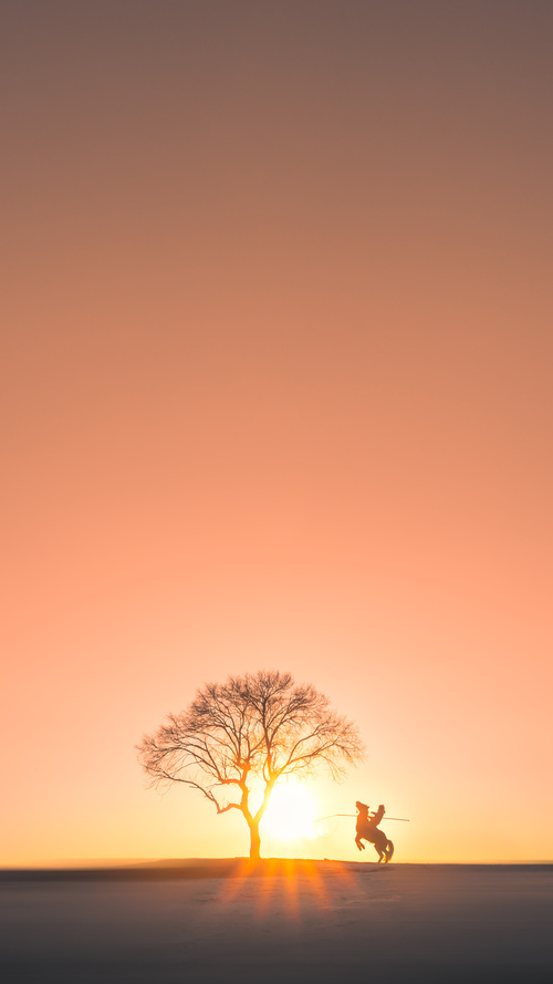 开云·体育官网-弗拉门戈球员健康状况良好，弗拉门戈2020球衣