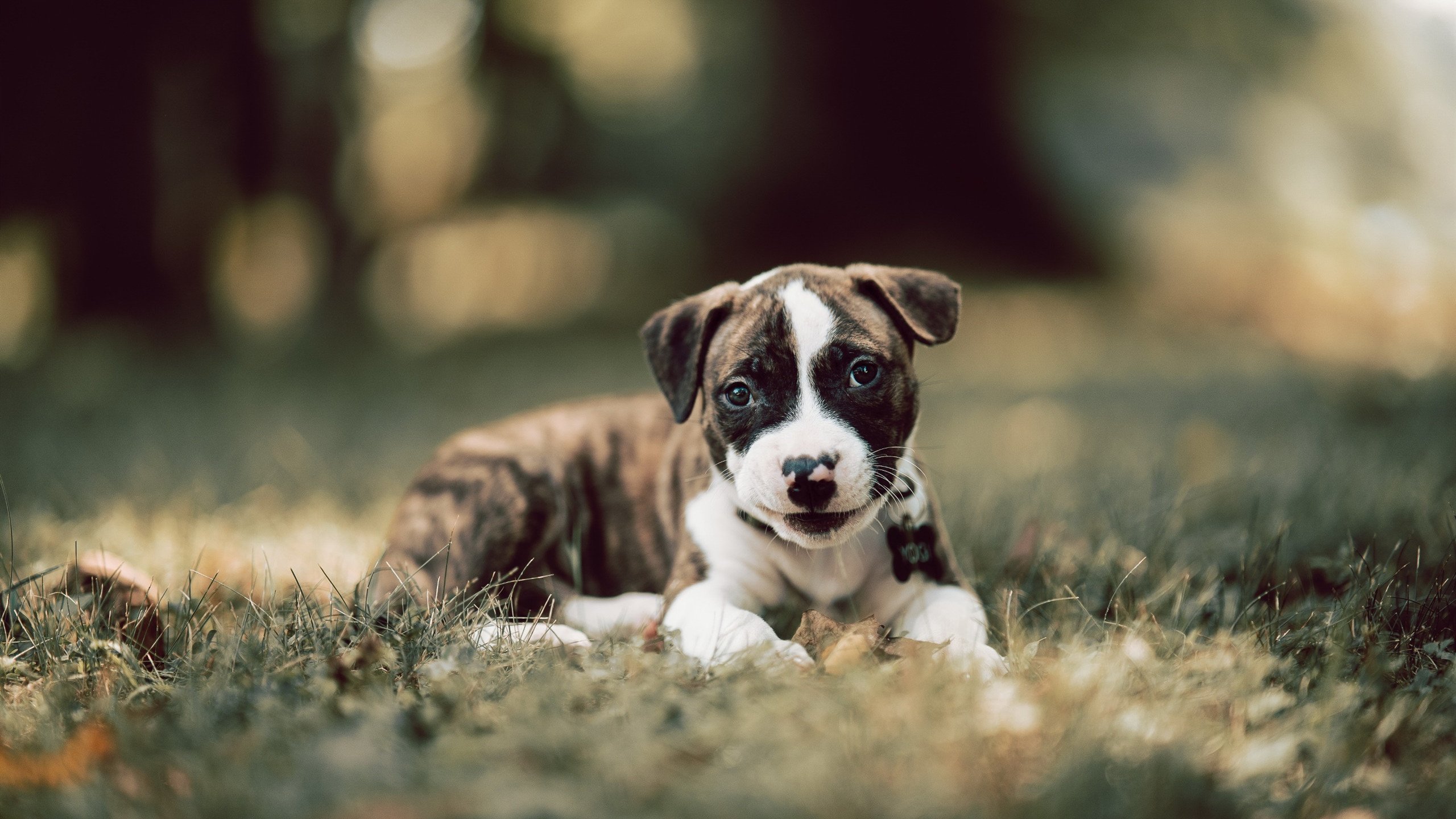 kaiyun中国官方网站-王者荣耀赛事加强赛场纪律管理措施，王者比赛规则制度