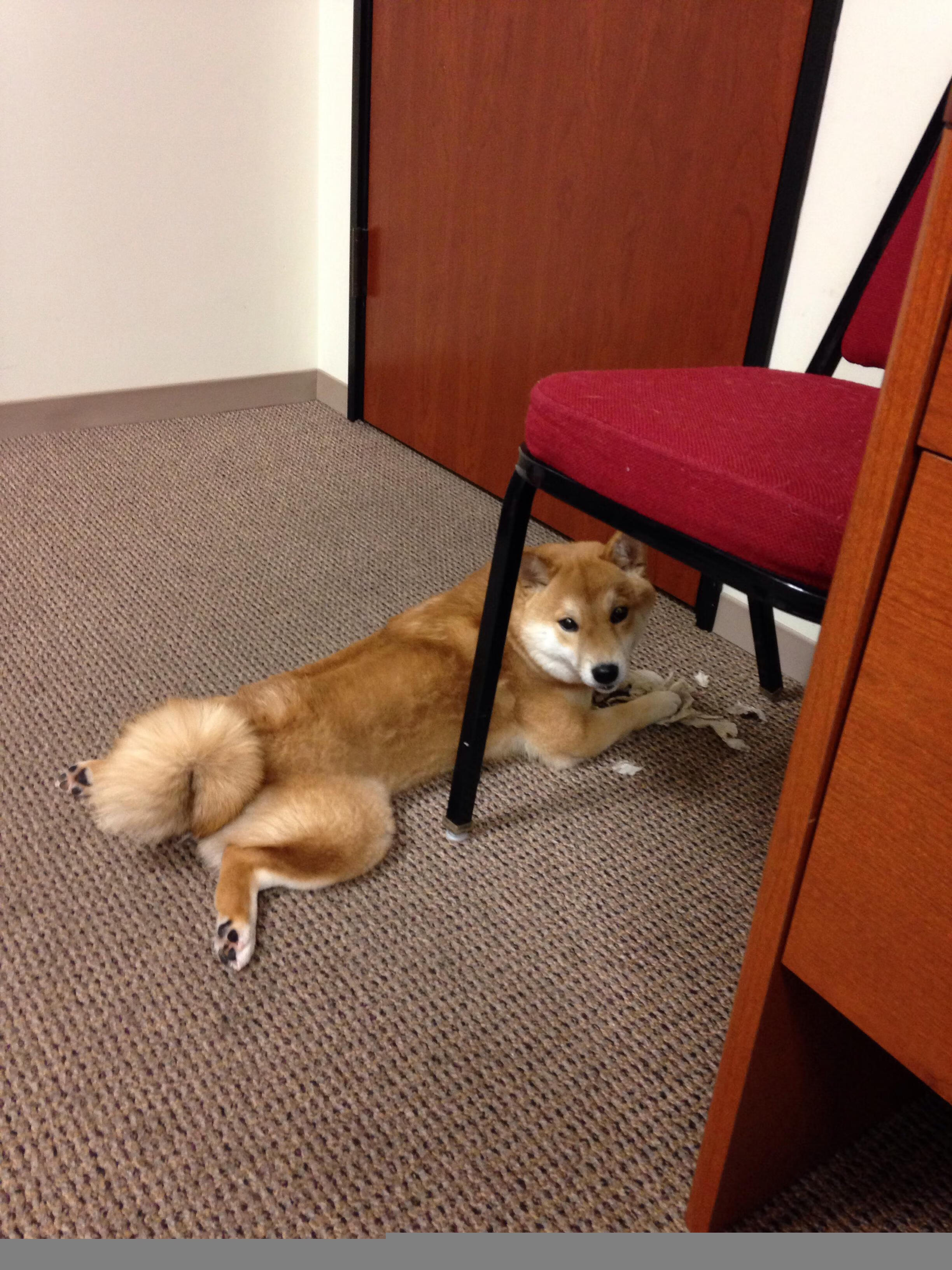 kaiyun官方入口登录-瓦伦西亚客场0-2不敌西班牙人，球队士气受挫，瓦伦西亚新球场现状