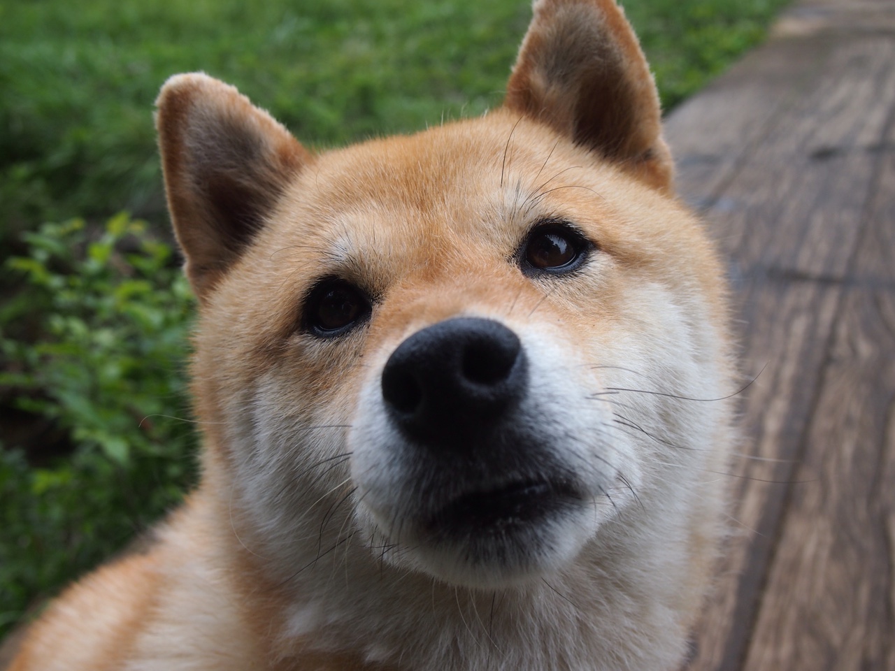 开云官方网站-电竞游戏版本更新对比赛策略的深远影响，电竞对战