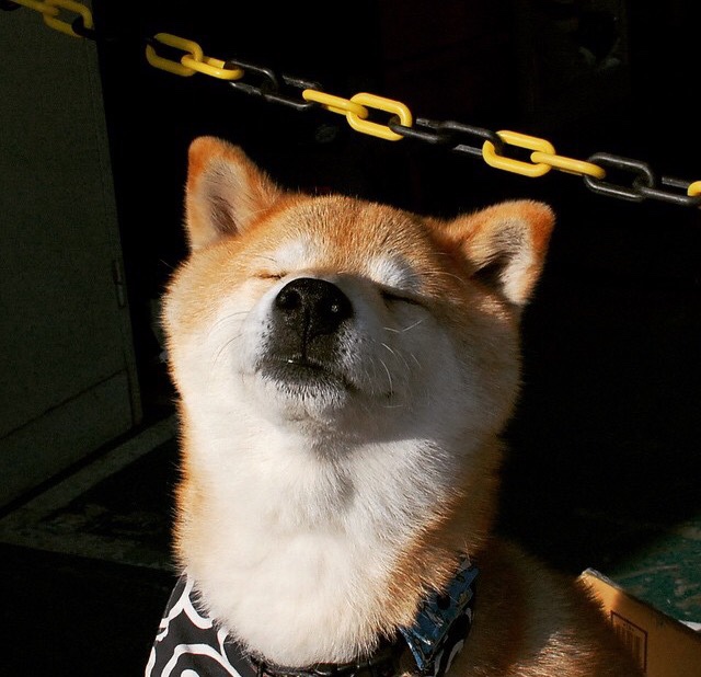 开云官网APP下载-阿森纳战平热刺保持英超前四位置，阿森纳热刺相互战绩