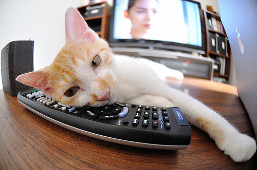 中国篮球联赛品牌形象塑造策略,篮球品牌市场占有率