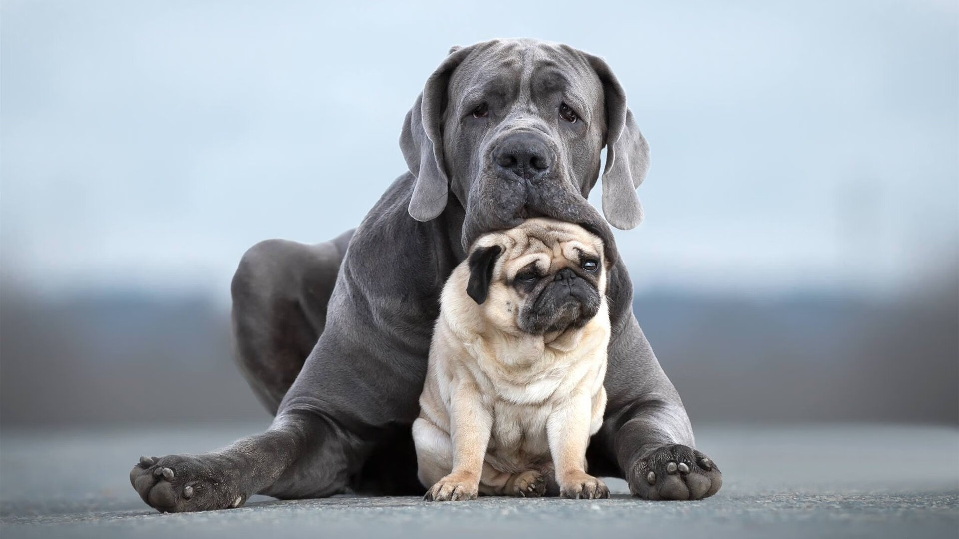 中国足球不同进攻路线得分效率比较,中国足球规律