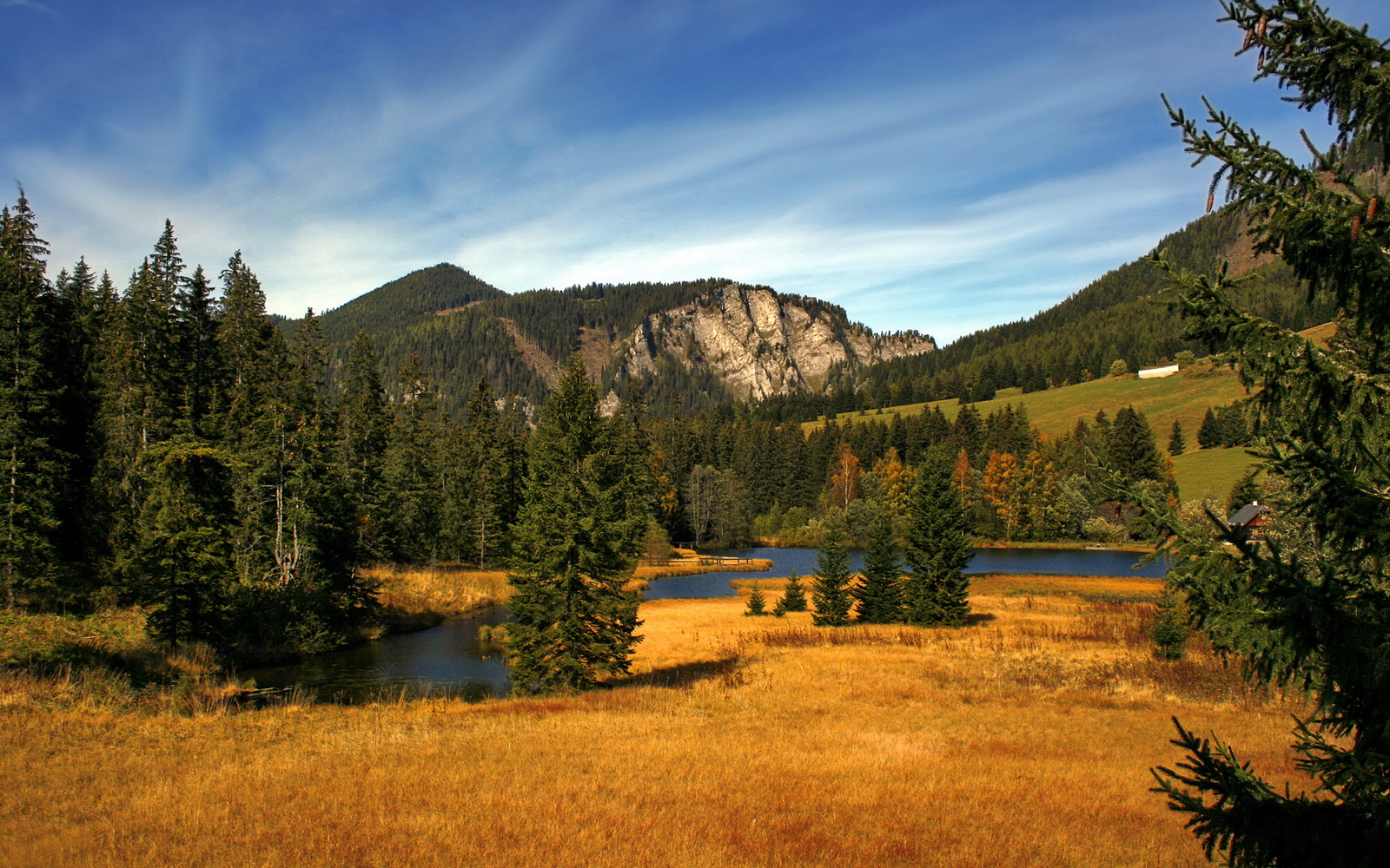 篮球专项技能动作训练标准化方法研究,篮球专项技能动作训练标准化方法研究报告