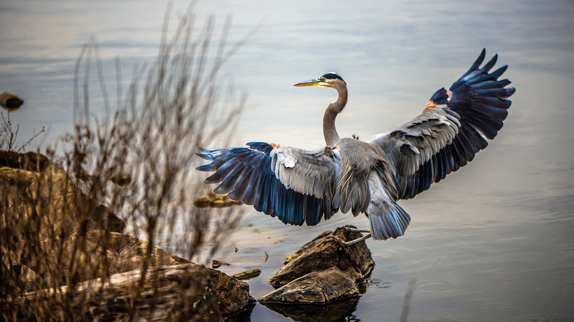 英超球队转播合同优化对中小俱乐部融资结构的推动,英超转播收入分配方案
