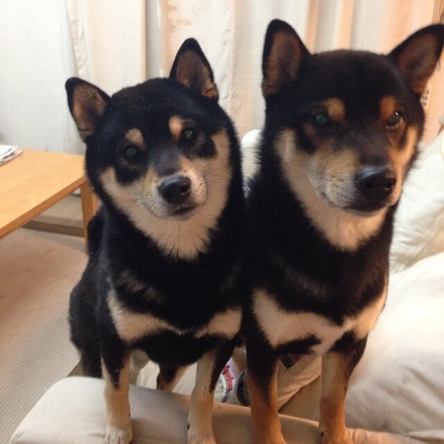 切尔西首夺扩军版俱乐部世界杯冠军,切尔西2021冠军