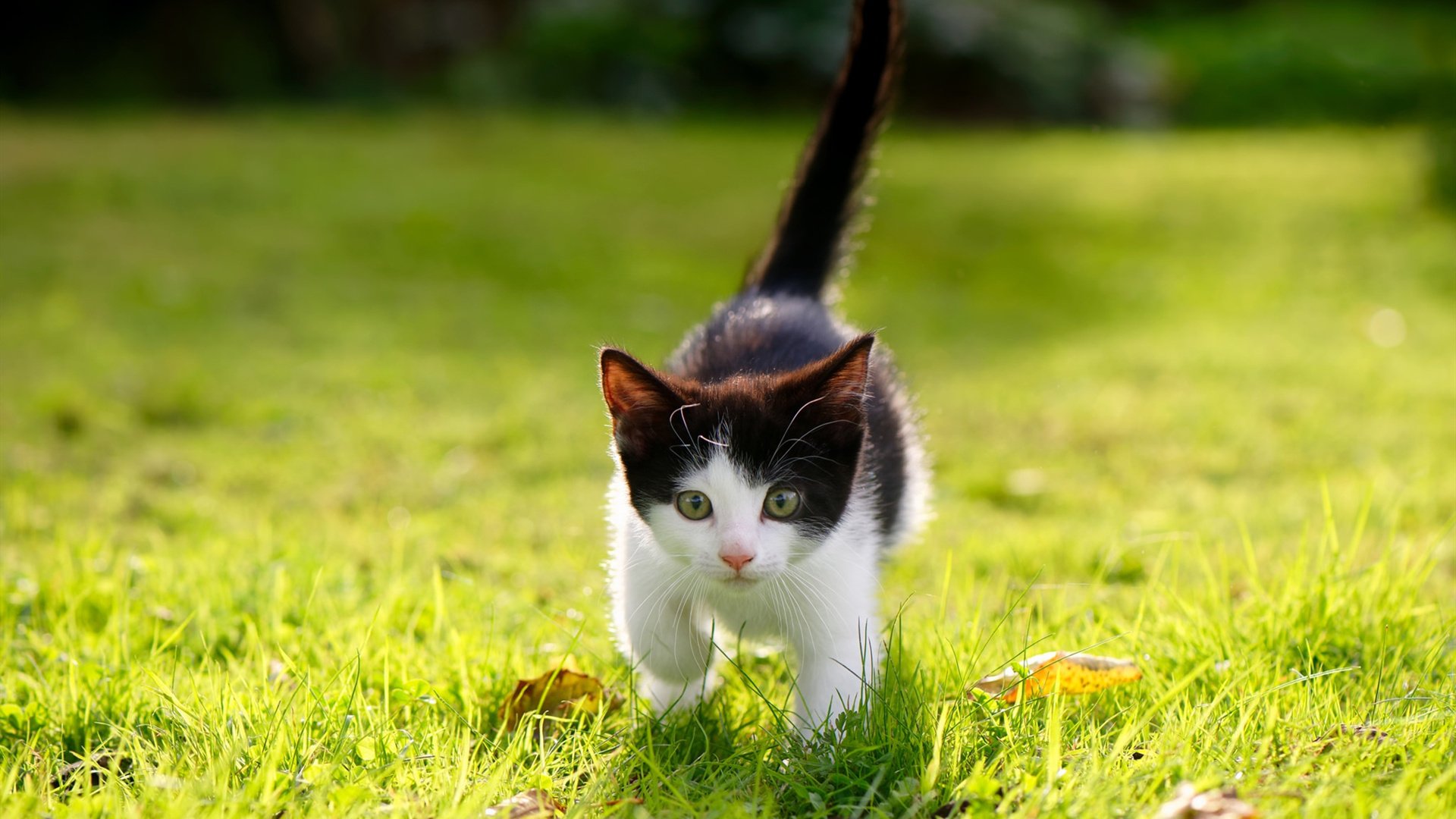 国际热身赛中国青年队逆袭 球迷热情不减,中国队热身赛结果