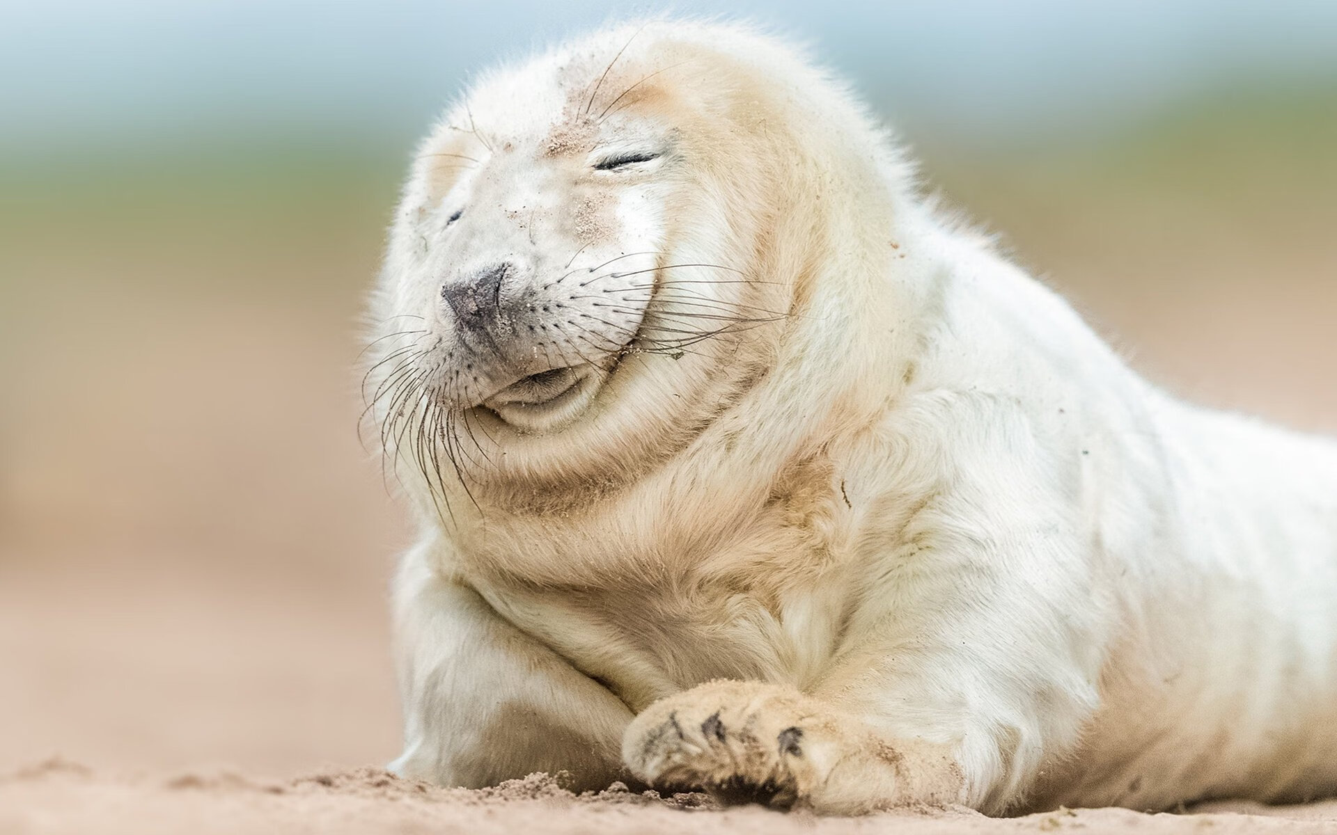 羽毛球女子单打新星首次闯入世界前十,羽毛球 女单