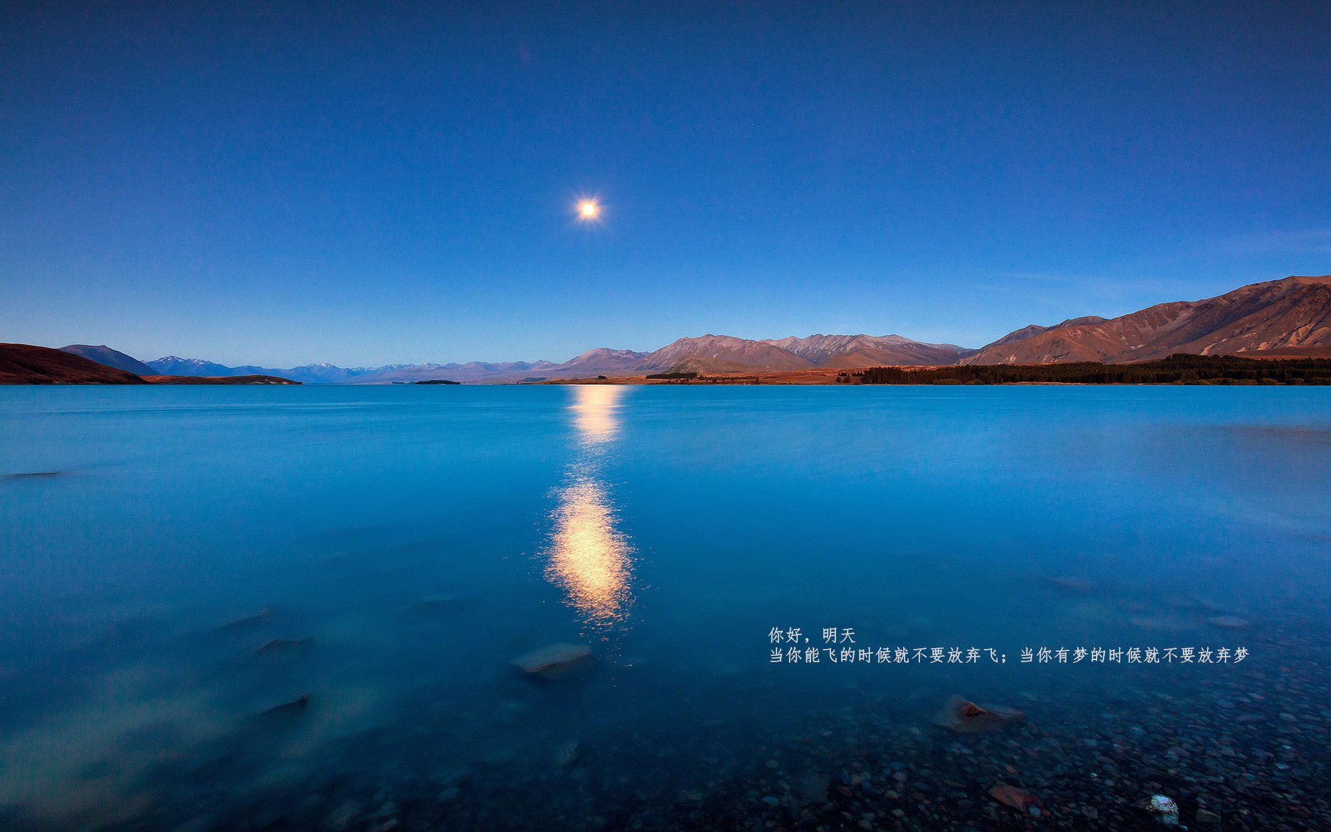 Kaiyun(中国)开云-罗斯·范奥特尔戴克蝶泳冲刺抢眼