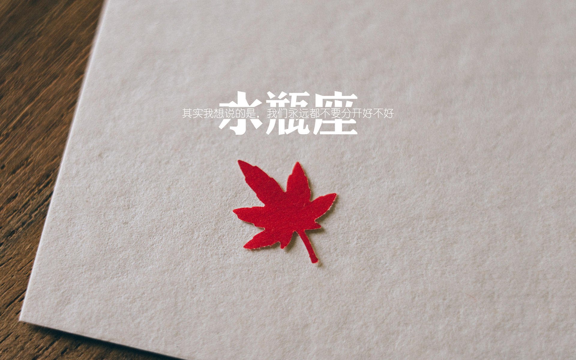 莫莉·奥卡拉汉100米自由泳赛道亮点