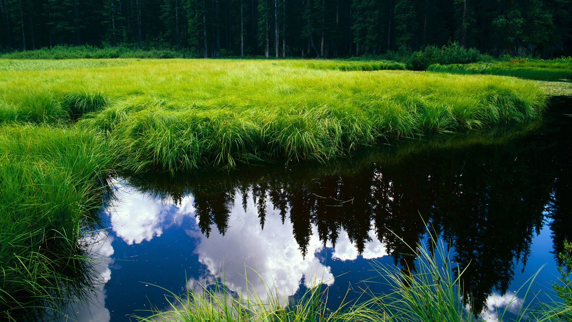 足球守门员专项装备发布会举行,守门员规则详细_足球守门员规则图解